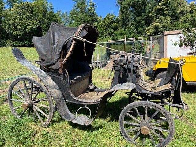 Kutschen: Vendo carrozza per cavalli – Gebraucht aus Stabio von bre_nql6 3