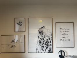 Wandbilder Set 4 Stück 