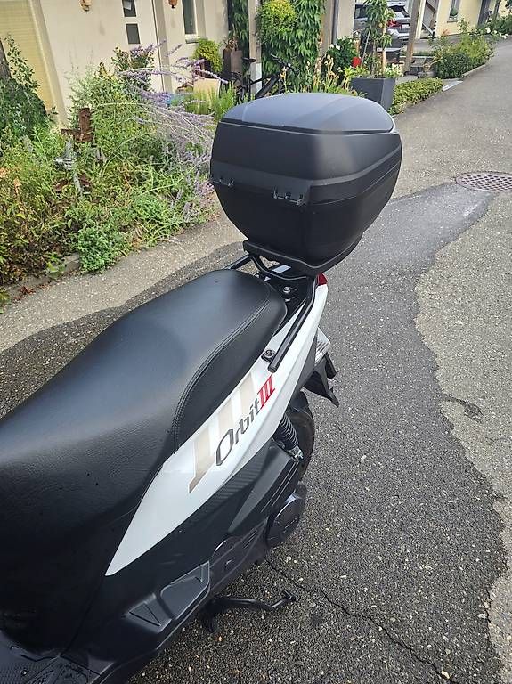 Scooters: Roller 125 1 jährig  – D'occasion à Gwatt (Thun) par shlufi 3