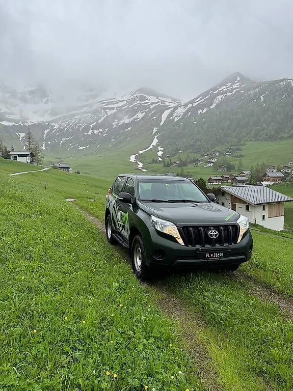 Autos: Toyota Land Cruiser 3.0 – D'occasion à Triesenberg par Gartengroup