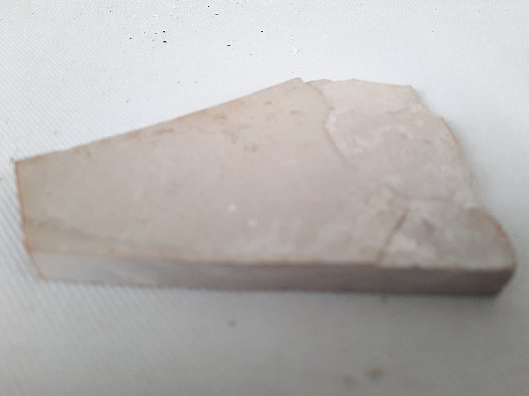 Fossili: 3 Fossilien – Usato da Beinwil am See venduto da Restwert_Beinwil 8