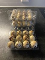 Wachteleier zu verkaufen