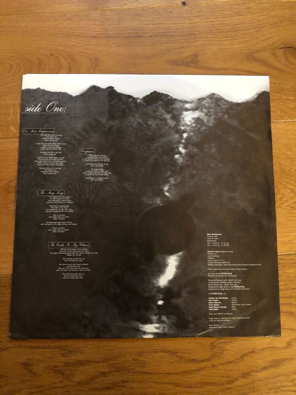 Dischi in vinile: The Gathering - Nighttime Birds – Usato da Liebefeld venduto da type013 3