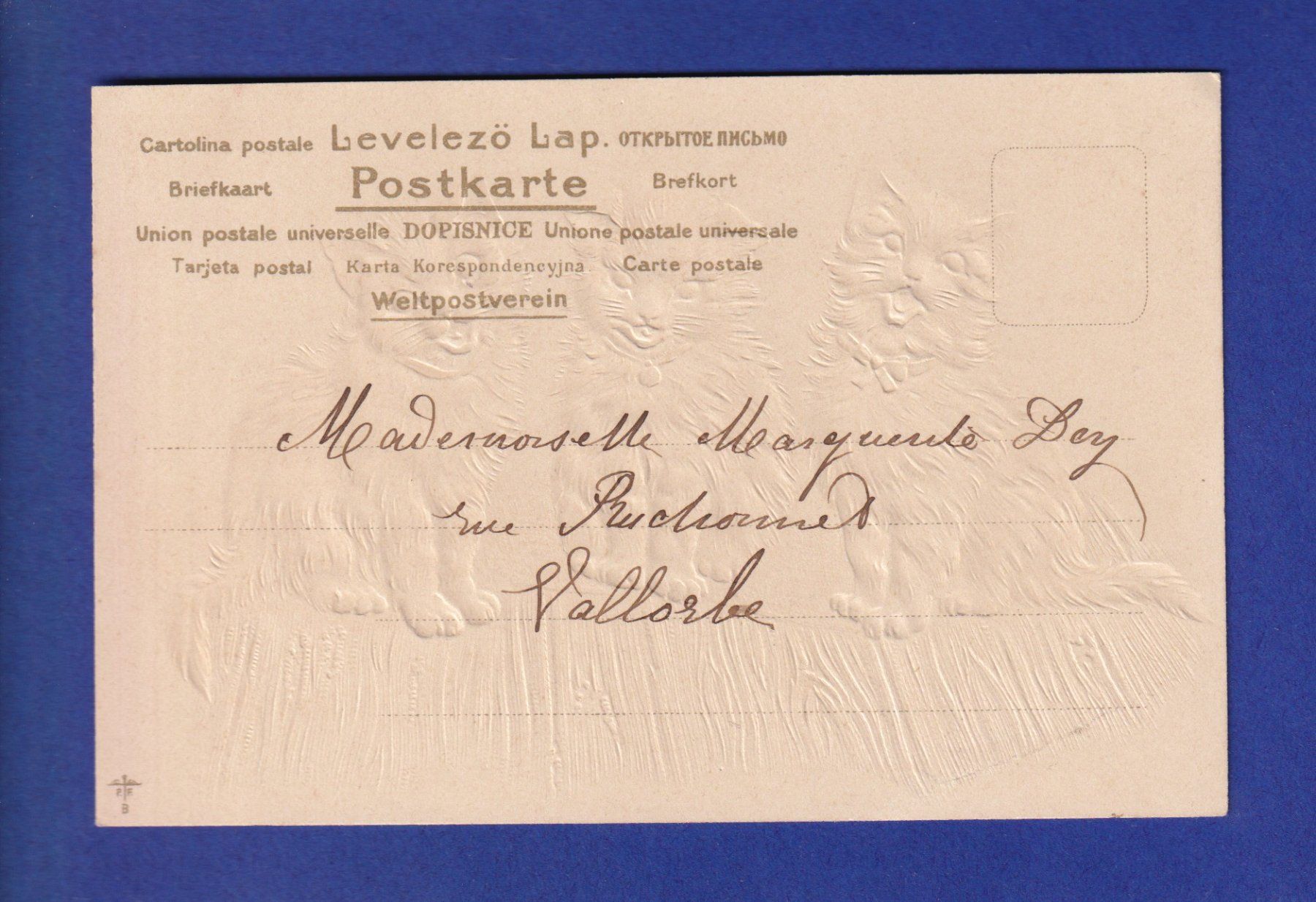 Cartoline postali: CHAT - 3 chats - Carte gauffrée // pli // – Usato da Pully venduto da nicecards-shop 1