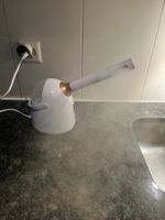 Face Steamer