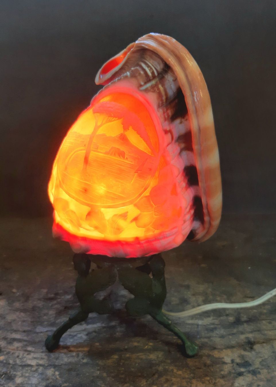 Lampen: Antike mediterrane Muschel Lampe – Gebraucht aus Arbon von torso444 1