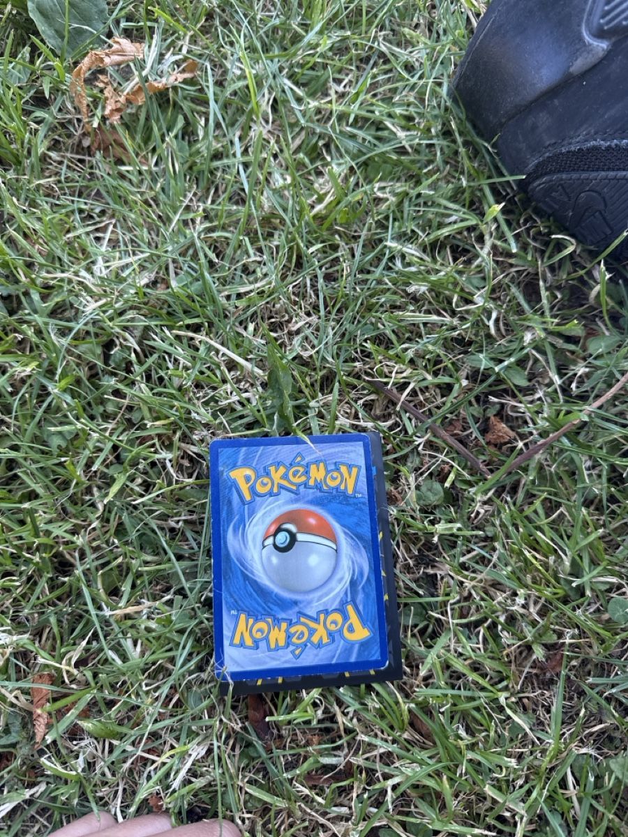 Pokémon Carte collezionabili: Pokemon Karte Nita – Usato da Appenzell Meister. venduto da ROMDIE10 1