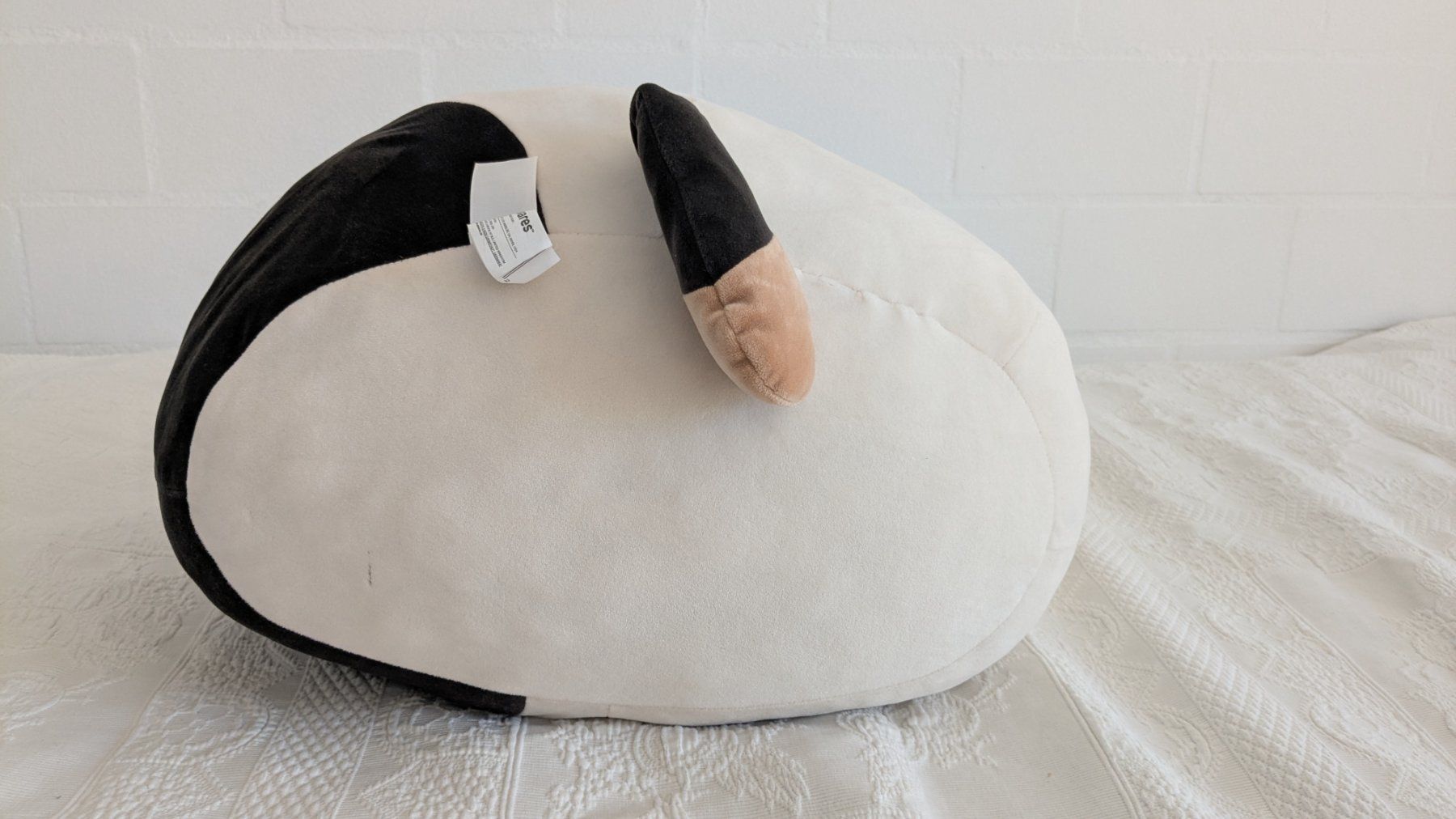 Squishmallows Giocattoli: Sqishmallows Katze 40cm – Usato da Adliswil venduto da bibuubib 2