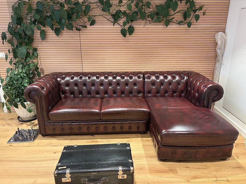 Divani: Chesterfield Brenton Büffelleder couch – Usato da Küssnacht am Rigi venduto da ced_s9vw