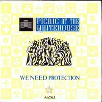 Picnic At The Whitehouse - We need protection (7")