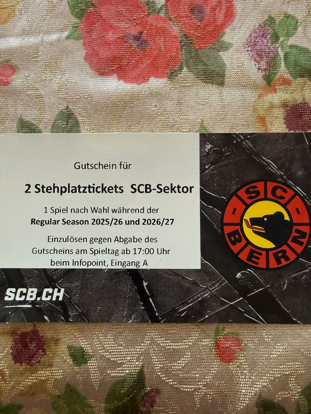 Biglietti: Zwei Stehplatz-Tickets SCB Sektor – Nuovo e nell'imballaggio originale da Lengnau BE venduto da Sagopa1