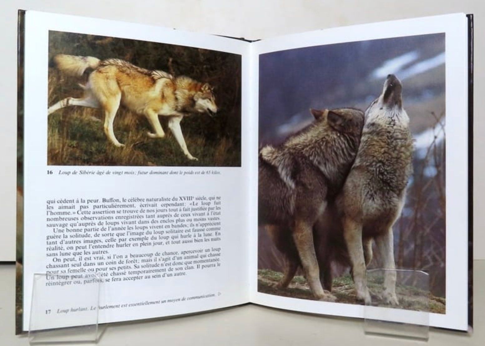 Libri: Les loups -  Comment vivent-ils ? – Usato da Le Locle venduto da LibrairieLaBergerie 1
