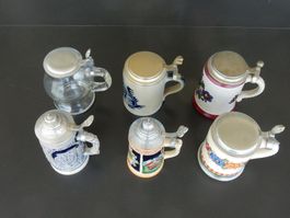 6 Bierkrüge mit Zinndeckel
