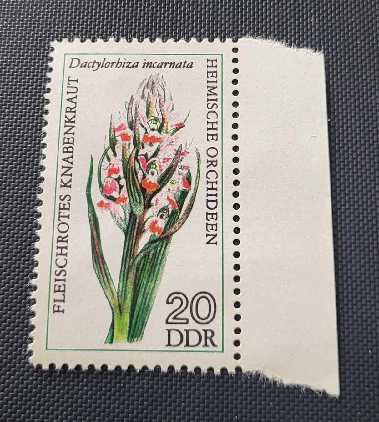 Alle Briefmarken: DDR 1976 briefmarke – Gebraucht aus St Gallen von Stampsalshobby