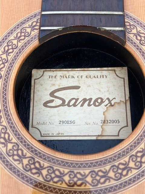 Strumenti musicali: Sanox Classic solidbody E-Gitarre – Usato da Zürich venduto da Carodame 2