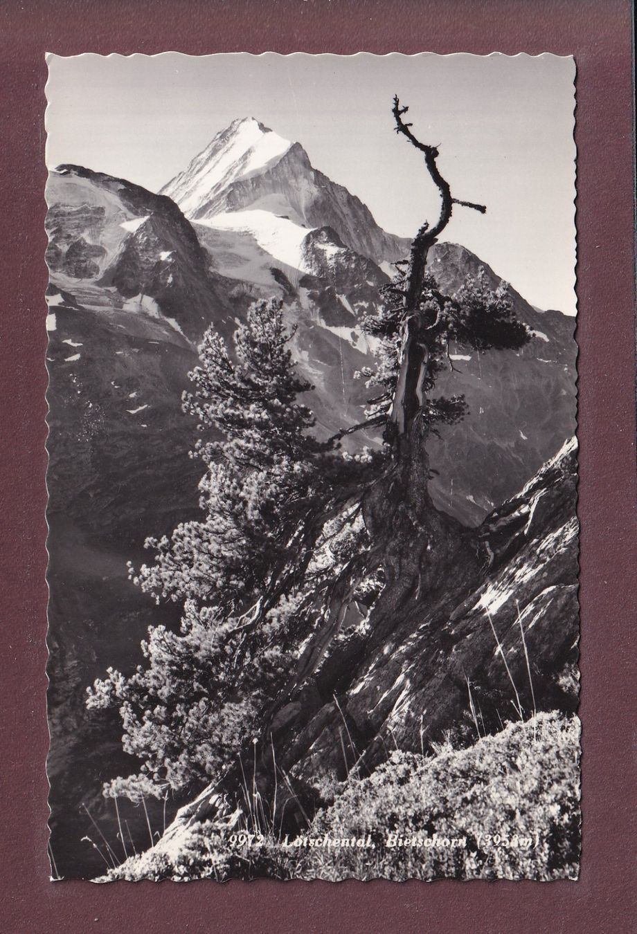 Cartes postales: LÖTSCHENTAL - Bietschhorn – D'occasion à Pully par nicecards