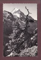 LÖTSCHENTAL - Bietschhorn