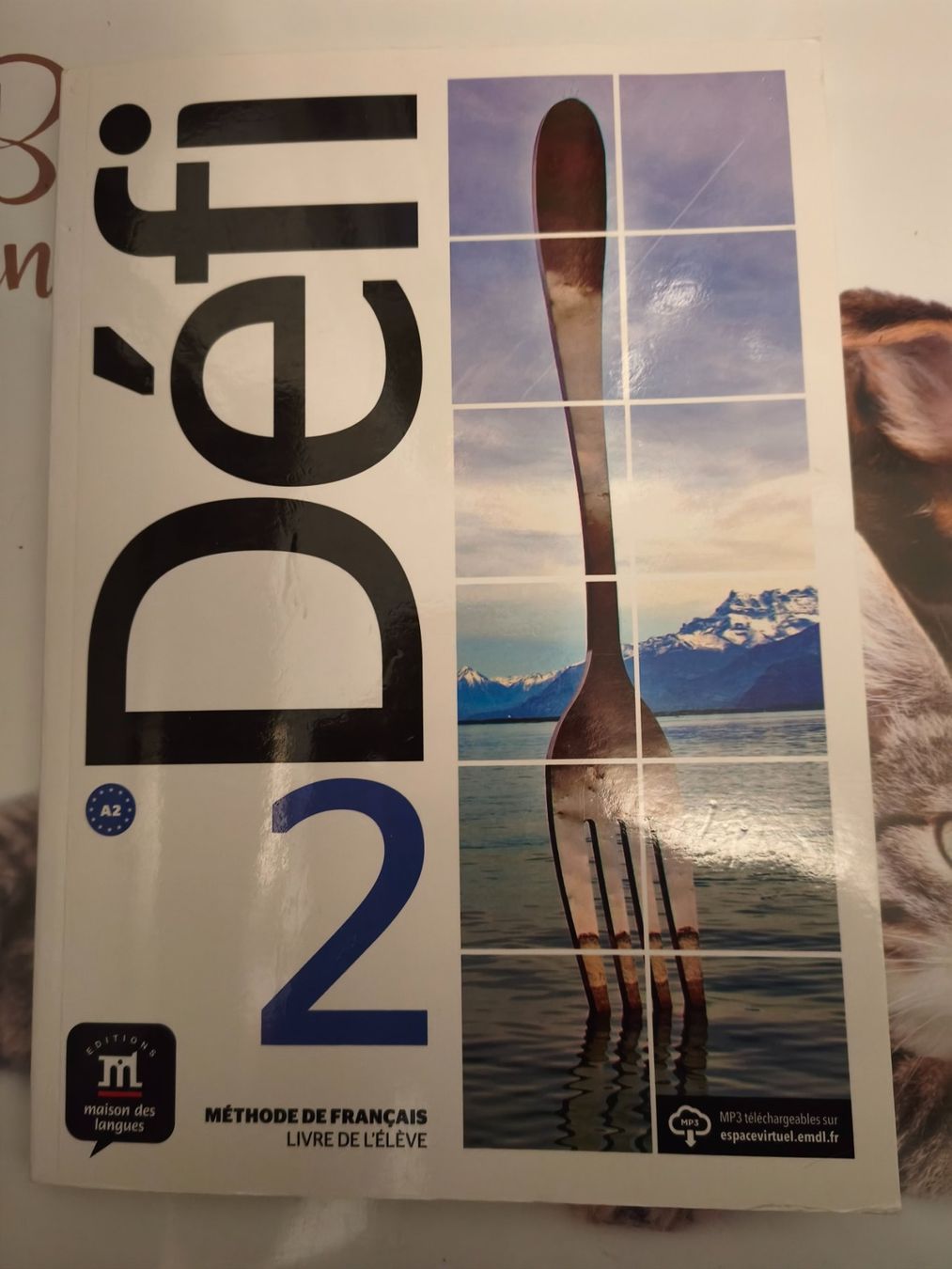 Libri: Défi 2 – Nuovo (secondo la descrizione) da Starrkirch-Wil venduto da wae_xd2j