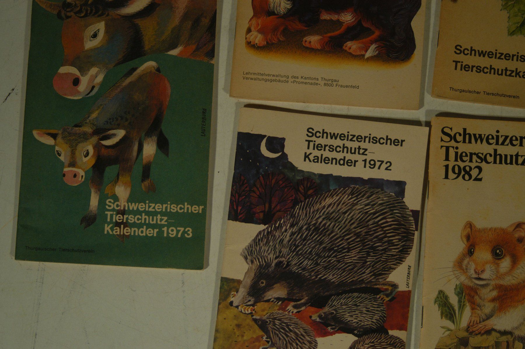 Calendari: Schweizerischer Tierschutzkalender 7 Stück – Usato da Herisau venduto da Wisen 4