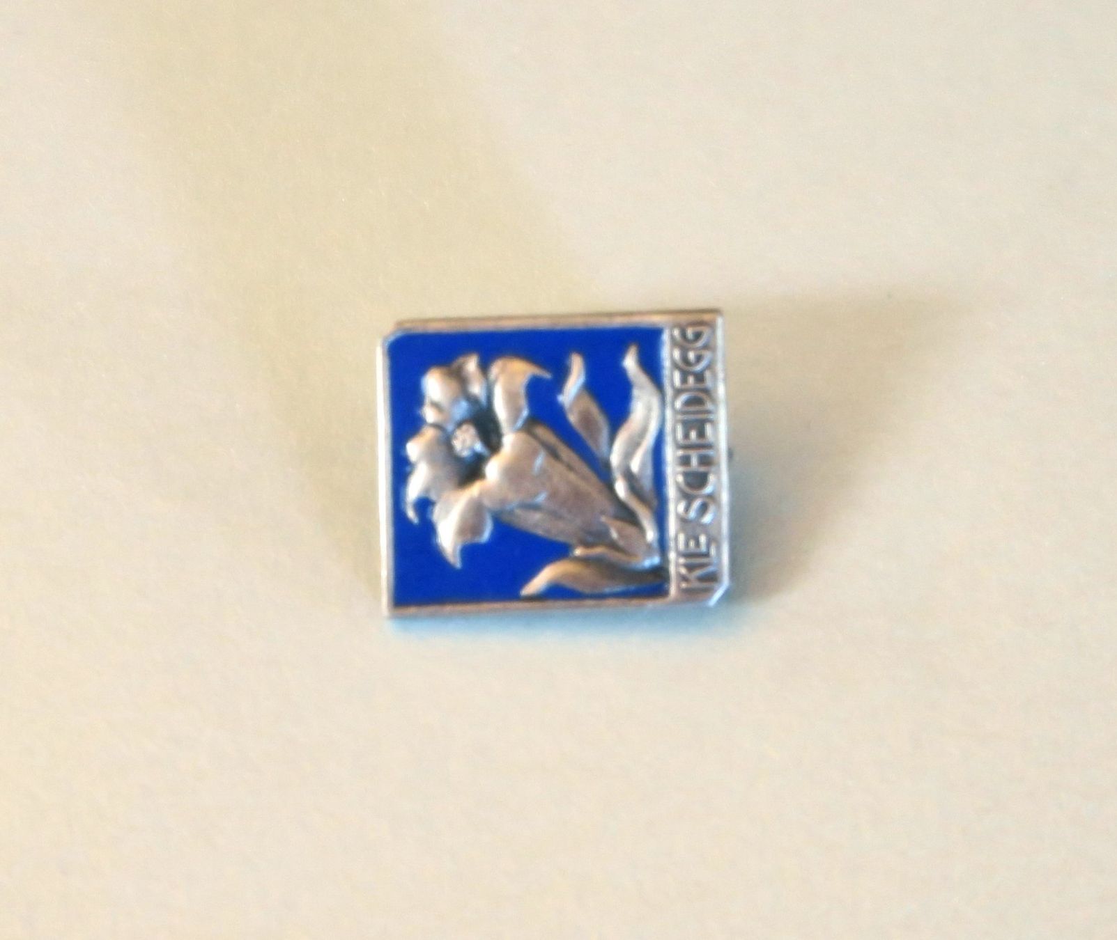 Placchette & Badge: Pin/Brosche Enzian, kleine Scheidegg – Usato da Brittnau venduto da marlenestone 2