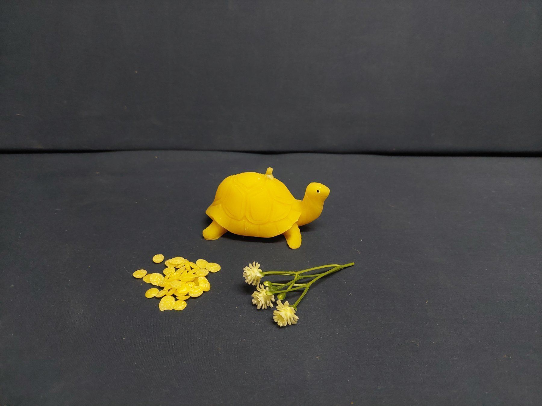 Candele: Bienenwachskerze Schildkröte – Nuovo (secondo la descrizione) da Jegenstorf venduto da pluesch94
