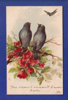 OISEAU - Fleurs