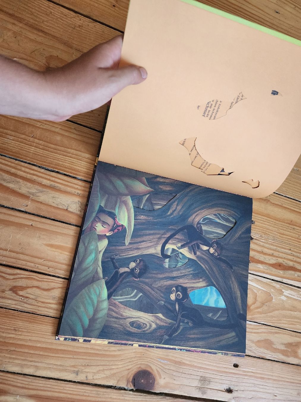 Libri: Frida Buch mit Klapp-Effekten guter Zustand – Usato da Schötz venduto da Zust 4