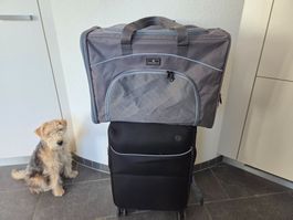 Hundetransporttasche Petsfit für Flug/Bahn, Versand möglich