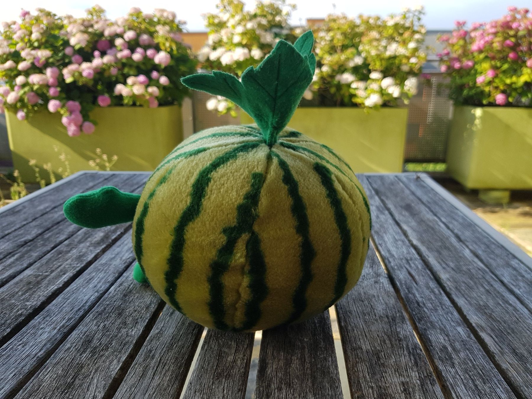Spielzeuge: Plüschmelone – Gebraucht aus Jona von dampfnuggi 2