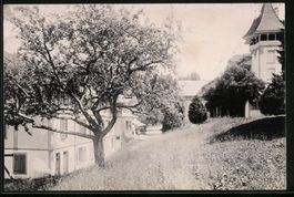 Fotografie Linden, Partie am Schlegelweg
