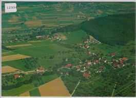 Flugaufnahme Büttikon AG