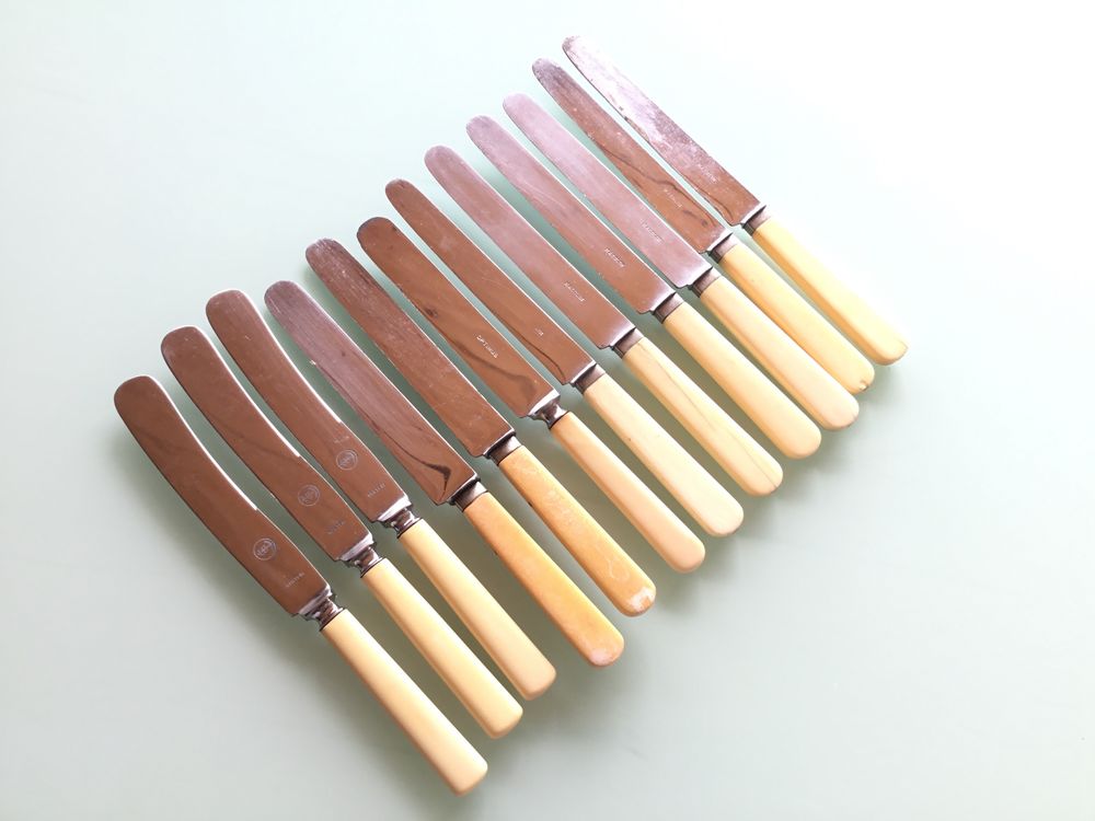 12 COUTEAUX DE Table Anciens Dans Leurs Boîte D'origine EUR 40,00