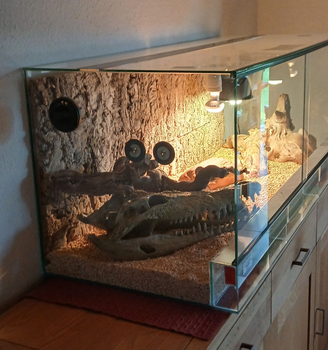 Terrario: Terrarium complet avec accessoires pour reptiles – Usato da Le Sentier venduto da Funko-Pop-1979 1