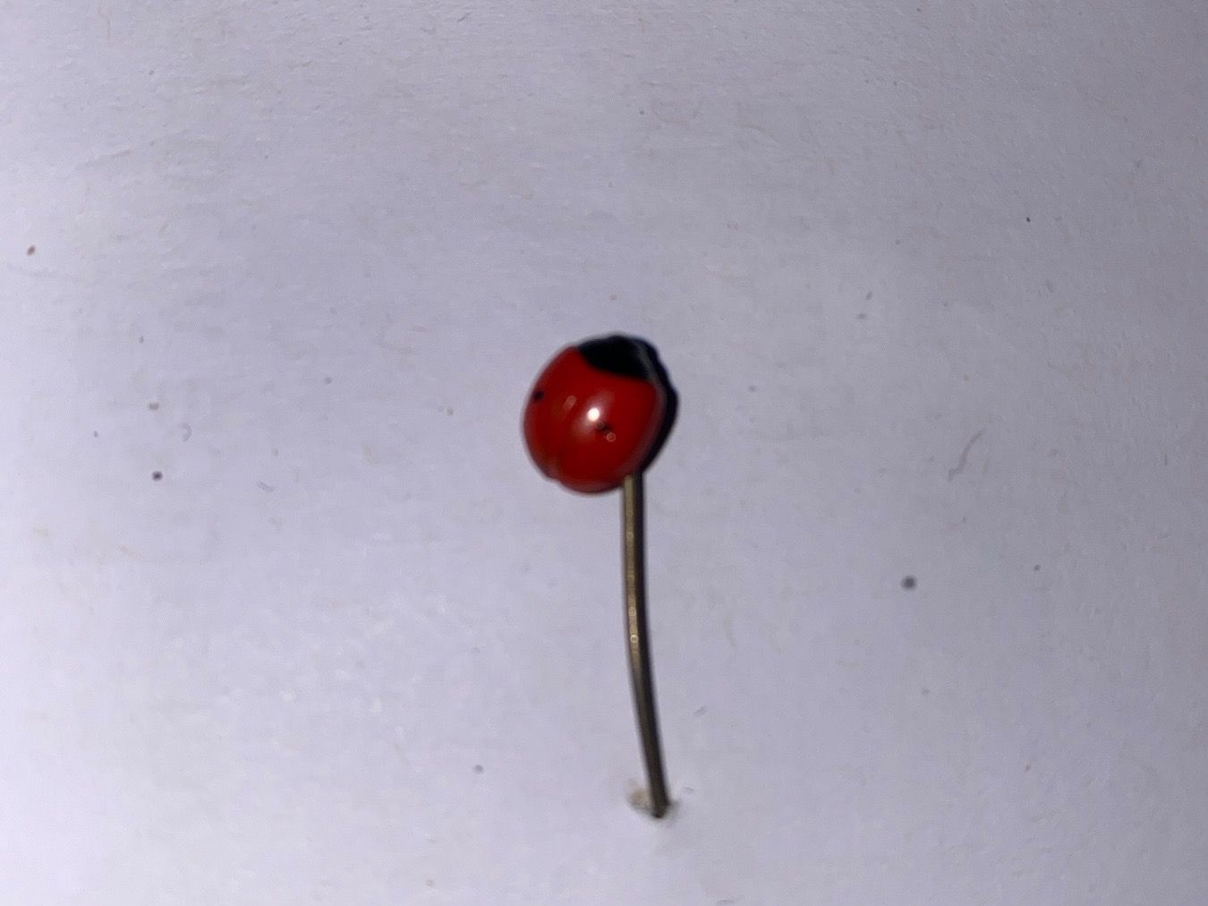 Placchette & Badge: EPINGLETTE - COCCINELLE – Usato da Le Brassus venduto da cinema13