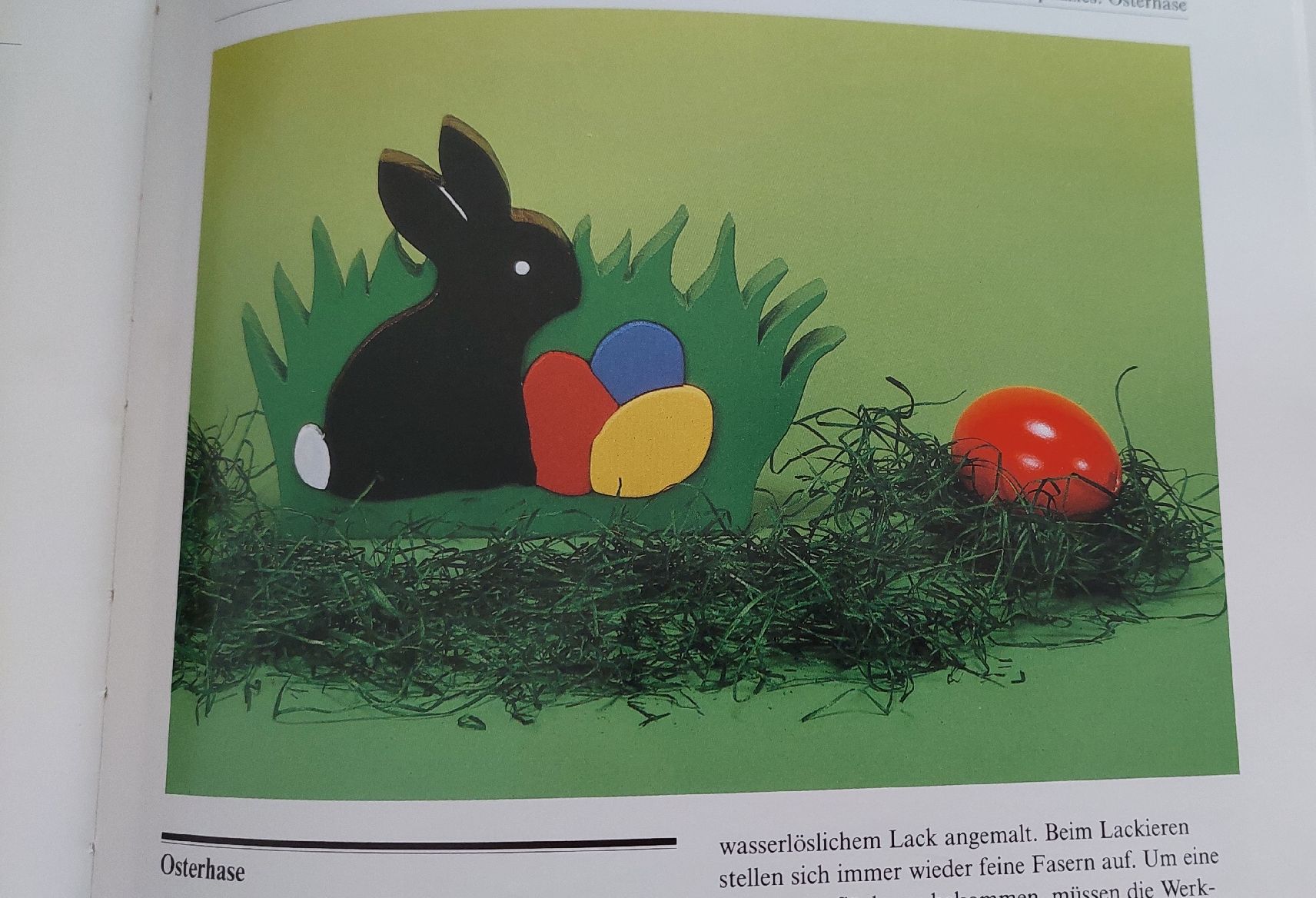 Libri: Bastelbuch – Nuovo (secondo la descrizione) da Lyss venduto da Hopsi1 1