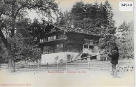Alphornbläser -  Sonneur du cor