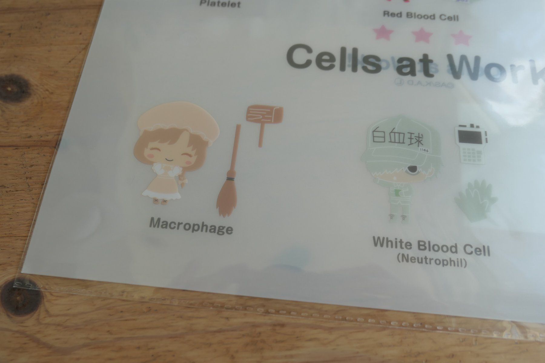 Figuren: Cells at Work Anime - Clear File Mäppli – Neu (gemäss Beschreibung) aus Ettiswil von maimaiswiss 4