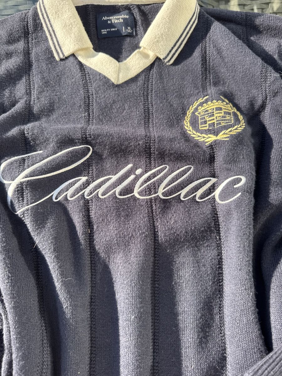 Abercrombie Maglioni & Felpe: Abercrombie &Fitch Pullover (XL) – Usato da Vezia venduto da sidu03 2