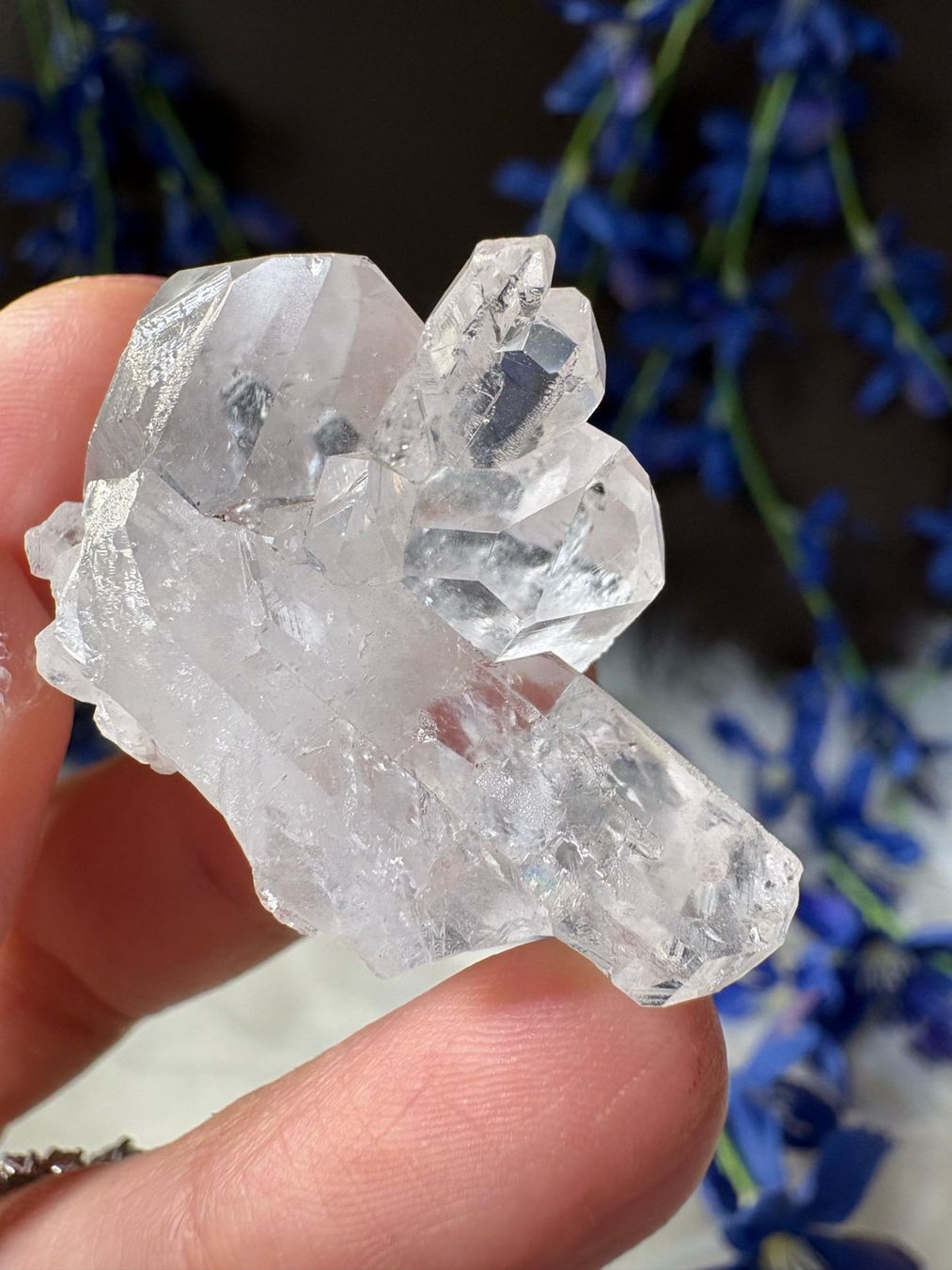 Minerali & Pietre curative: Lemurian-Quarz-Cluster – Nuovo (secondo la descrizione) da Neuheim venduto da m.hald 4