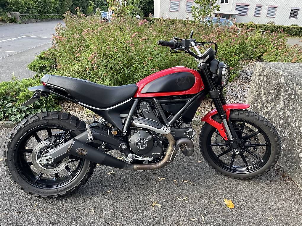 Strada: Ducati Scrambler Icon 800 – Usato da Oberrohrdorf venduto da hermie66