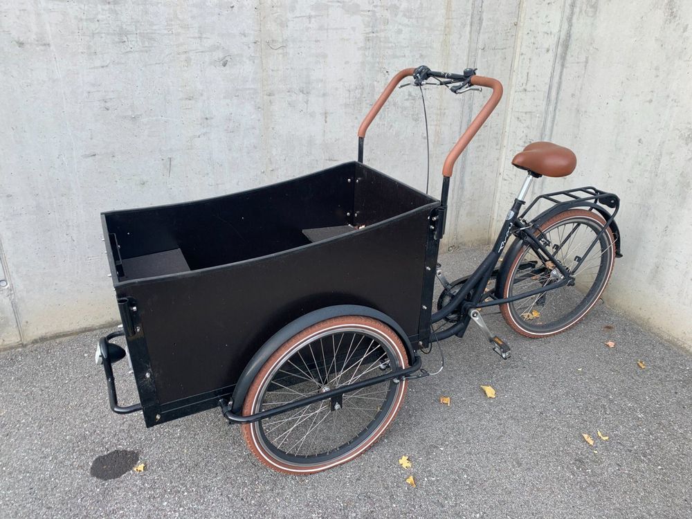 Troy cargo bike sale