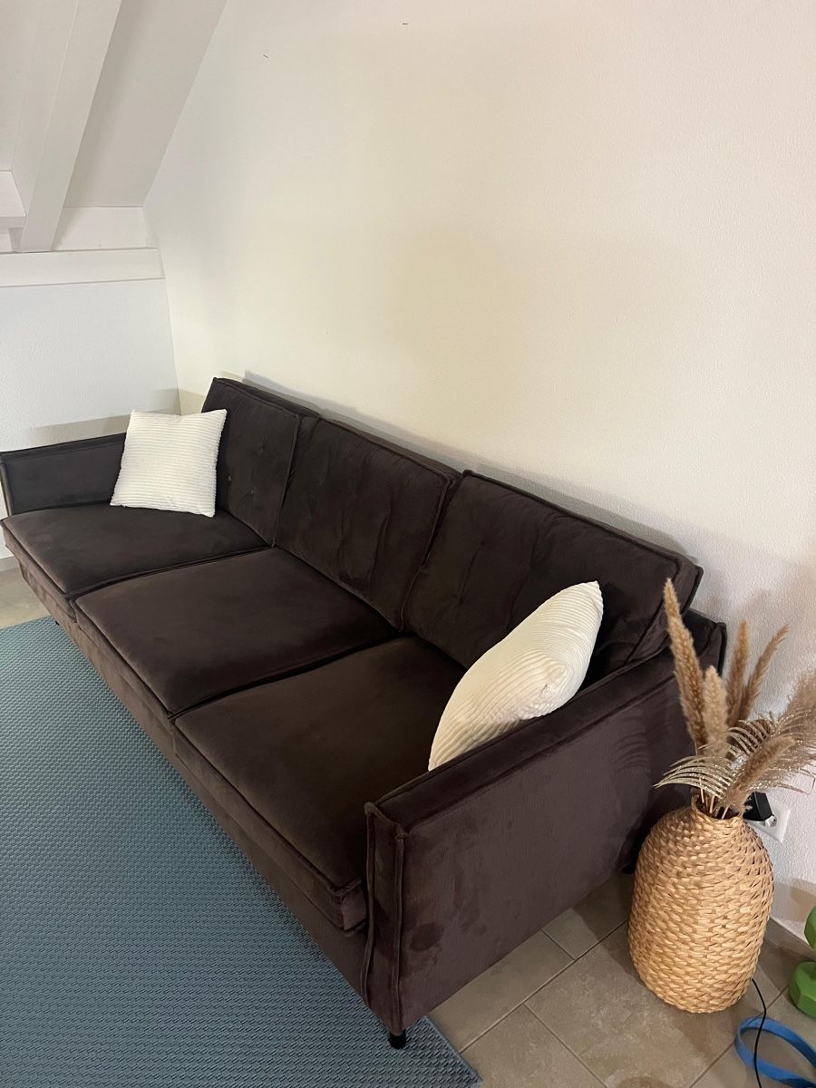 Pfister Divani: Sofa – Usato da Dintikon venduto da ser_7lnw 2