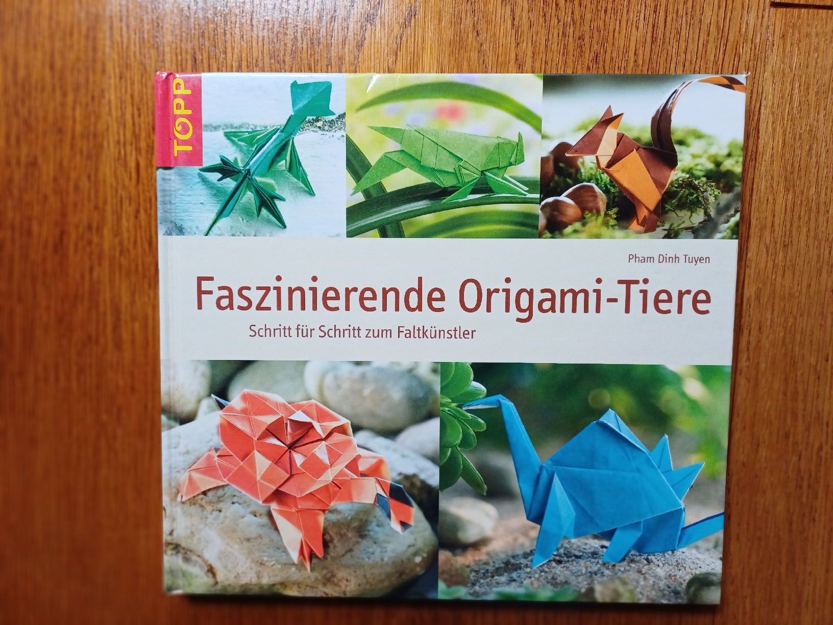 Libri: Faszinierende Origami Tiere – Nuovo (secondo la descrizione) da Gächliwil venduto da lesidees