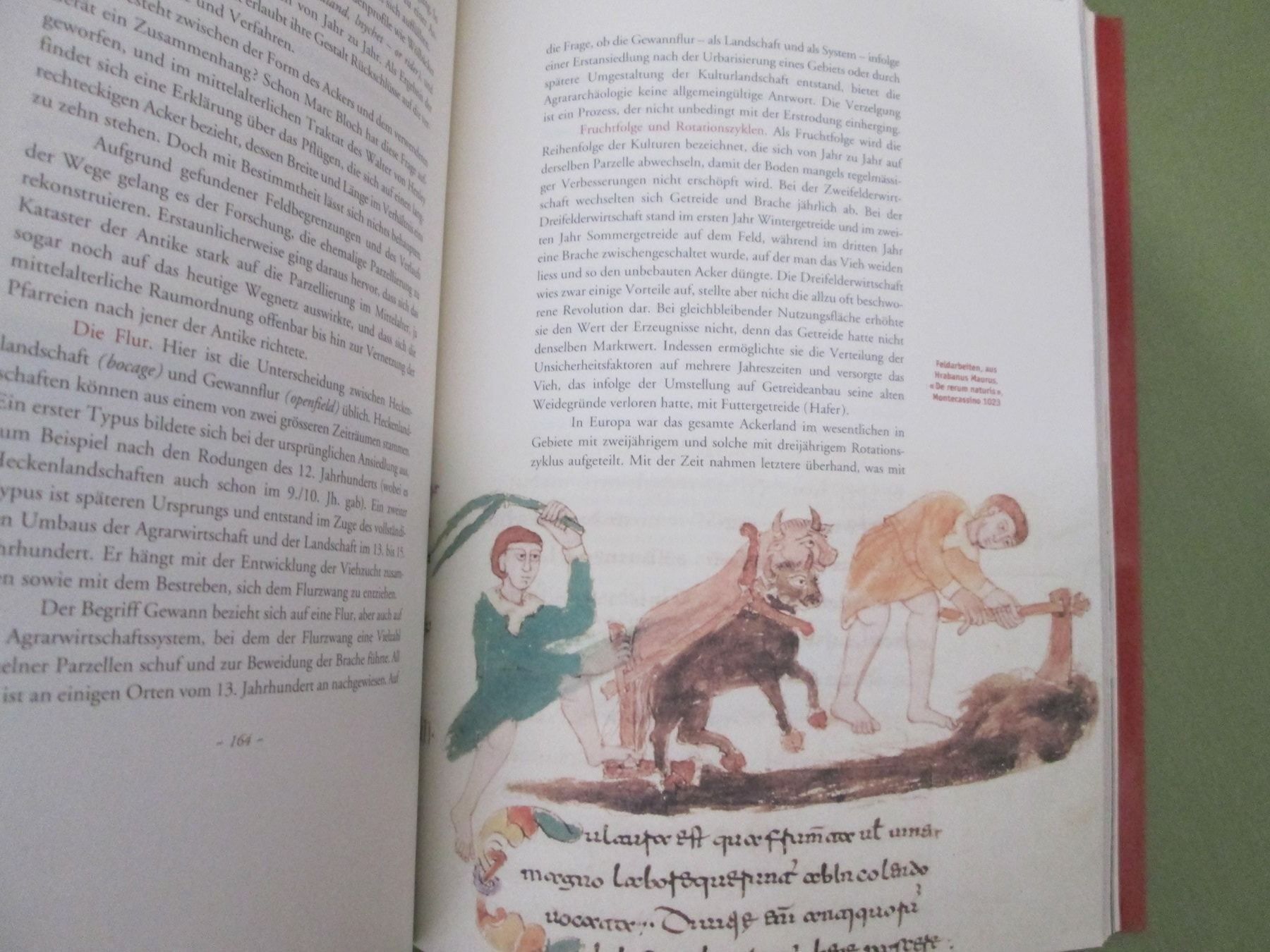 Libri: Gesellschaft und Ernährung um 1000 – Usato da Neuchâtel venduto da Dualseele 8