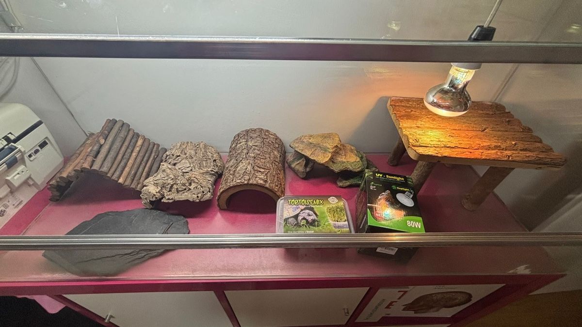 Terrario: Schildkröten-Terrarium Komplett-Set – Usato da Frenkendorf venduto da tryskac 2