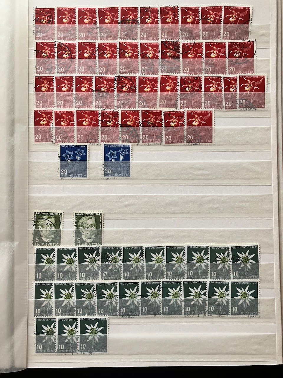Tutti i francobolli: Pro Juventute Blumensammlung 1943-49 – Usato da Nesslau venduto da zueri6 1