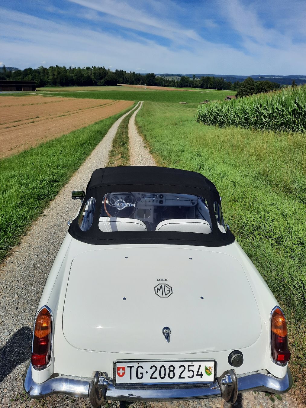 MG Automobili: MGB – Usato da Kefikon TG venduto da KarinL7 4