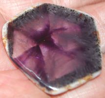 Mineralien L-1005 – AAA Trapiche Amethyst Scheibe ca. 34x33m