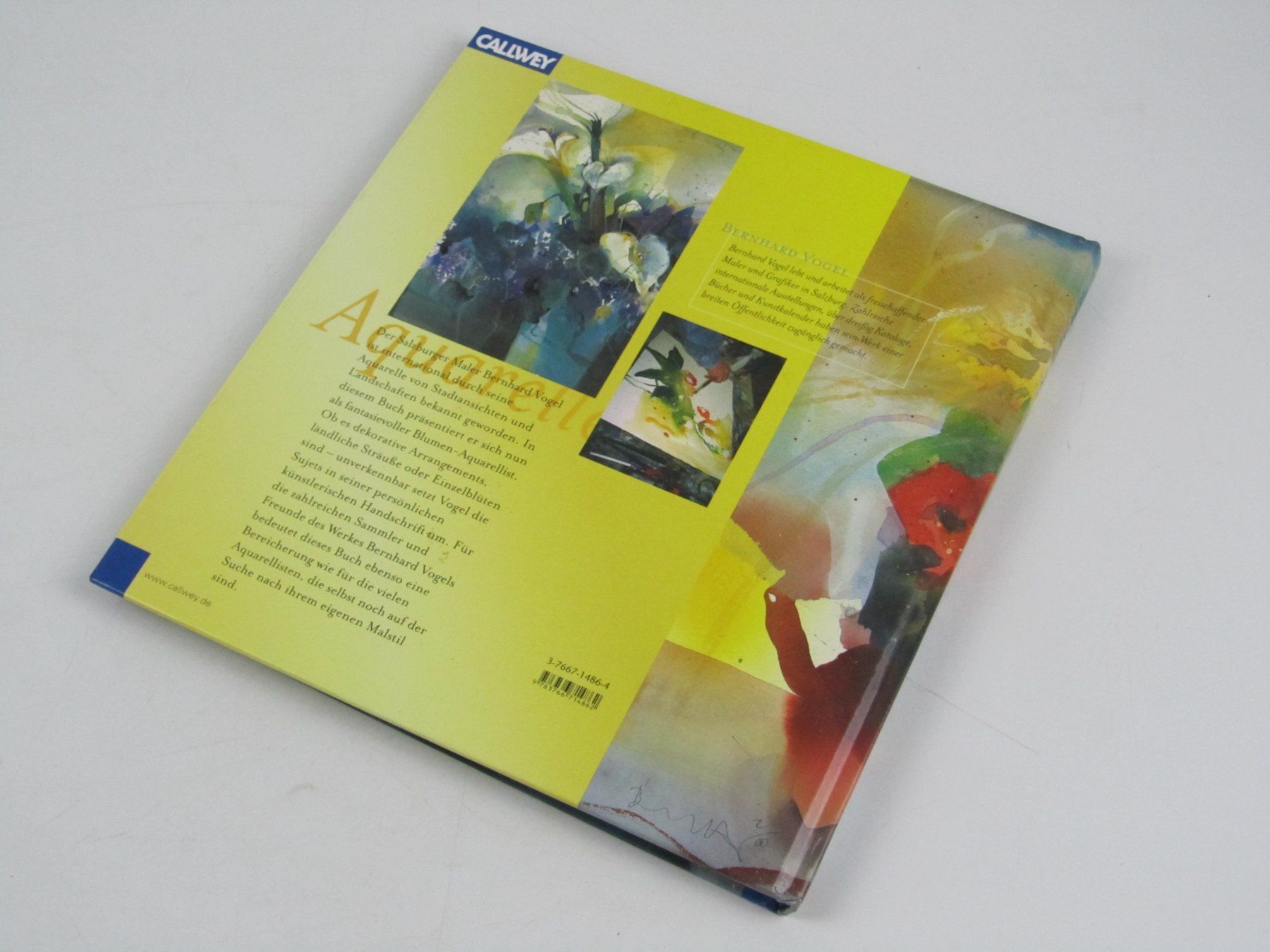 Libri: Blumen Aquarelle im Licht - Bernhard Vogel – Usato da Muhen venduto da Restwert_Muhen 1