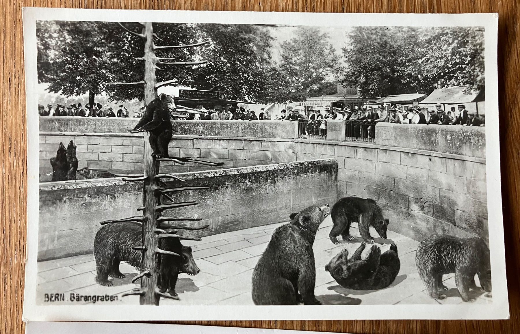 Cartoline postali: Ansichtskarte Bern – Usato da Waldstatt venduto da breitaxt 3